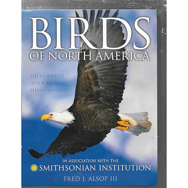 洋書 Jeffrey Whiting's Owls of North America Jeffrey Whiting's Owls of North America (Whiting's Reference of